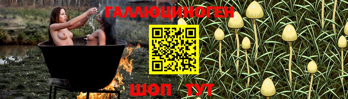 Галлюциногенные грибы Magic Shrooms  Галлюциногенные грибы GOLDEN TEACHER  Узловая  Вход с VPN 