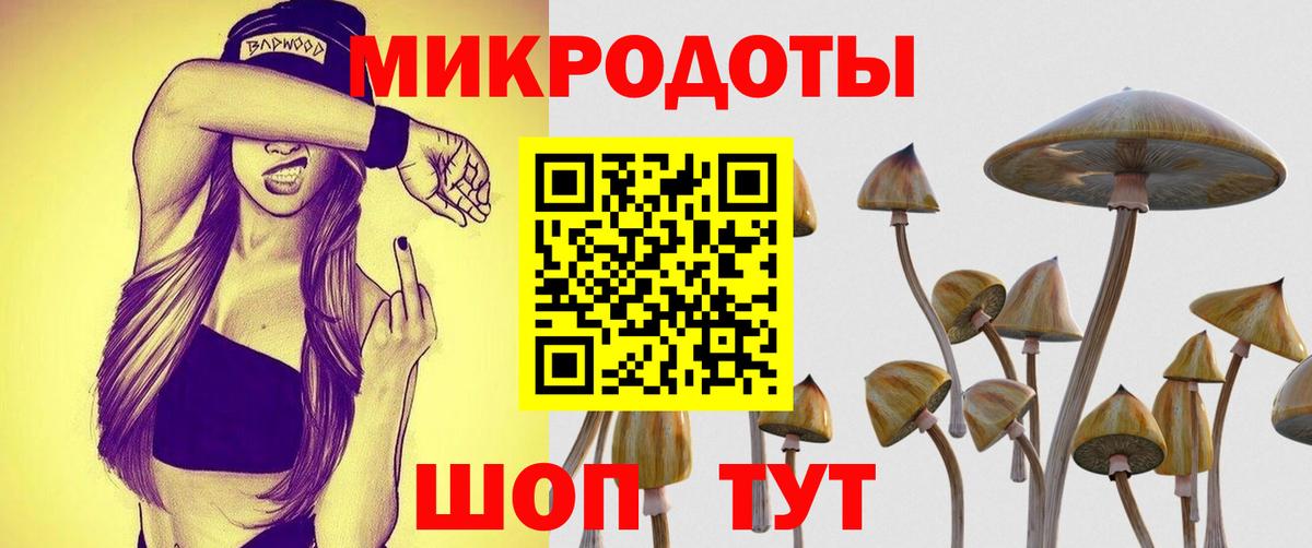 Псилоцибиновые грибы мицелий Узловая